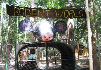 Zoobic Rodent World