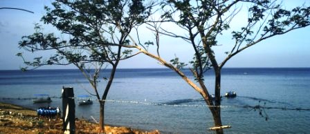 Anilao Bay
