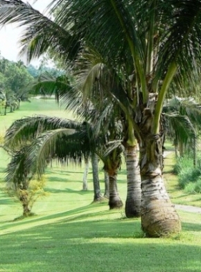 Canlubang Golf Course