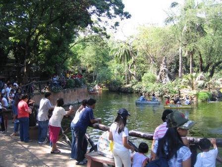 Manila Zoo Philippines